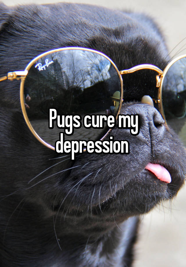Pugs cure my depression 