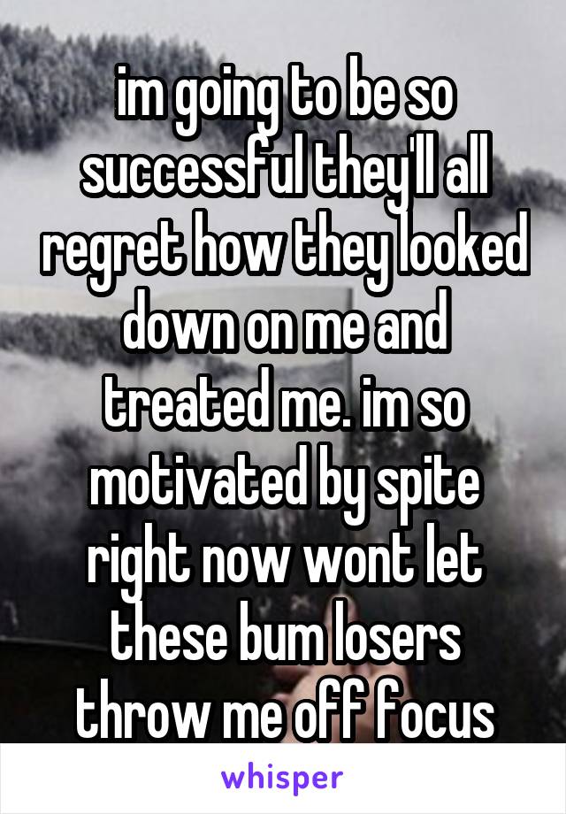 im going to be so successful they'll all regret how they looked down on me and treated me. im so motivated by spite right now wont let these bum losers throw me off focus