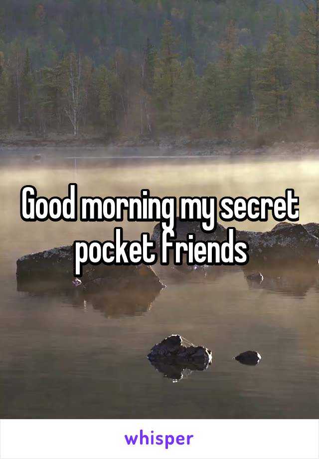 Good morning my secret pocket friends