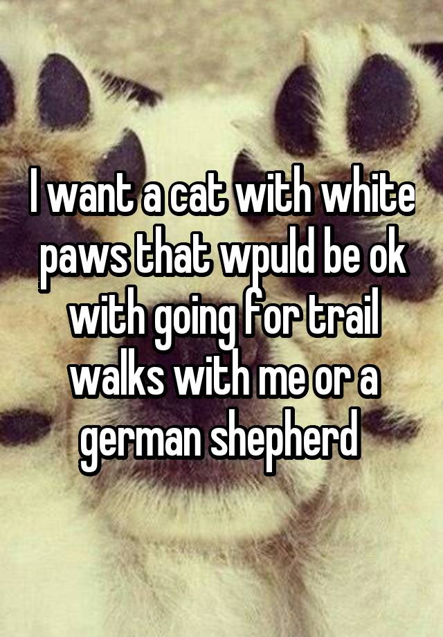 I want a cat with white paws that wpuld be ok with going for trail walks with me or a german shepherd 