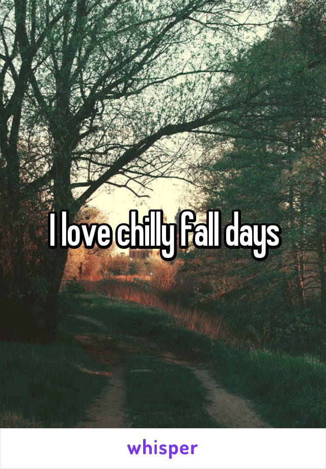 I love chilly fall days