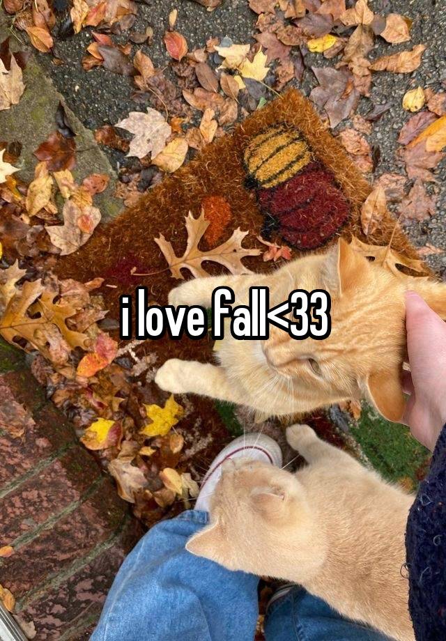 i love fall<33