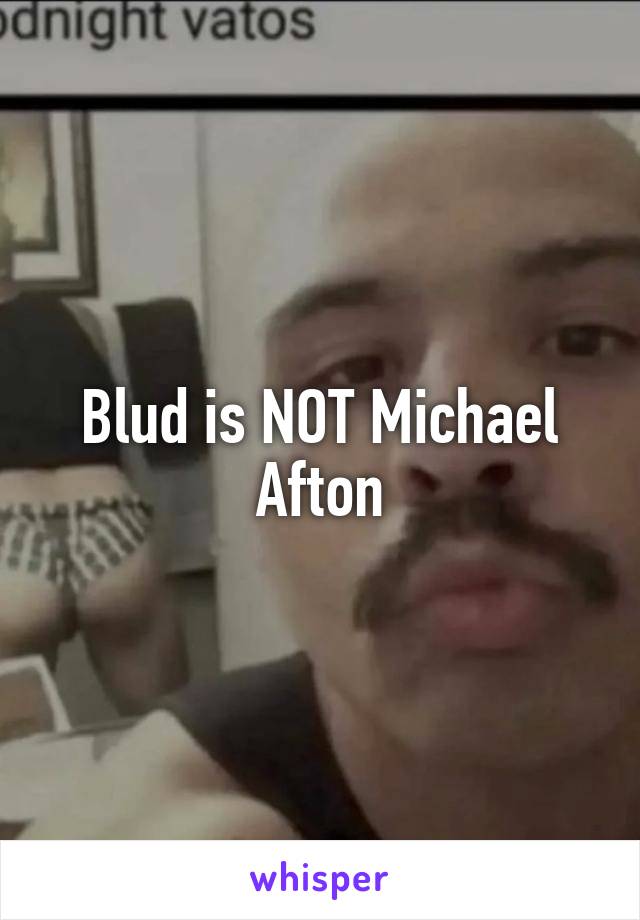 Blud is NOT Michael Afton