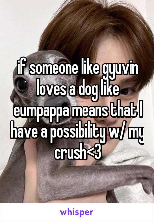 if someone like gyuvin loves a dog like eumpappa means that I have a possibility w/ my crush<3