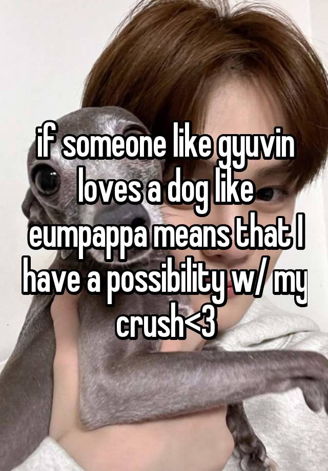 if someone like gyuvin loves a dog like eumpappa means that I have a possibility w/ my crush<3