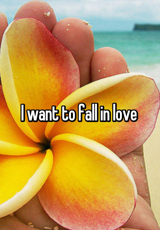 I want to fall in love 