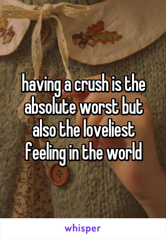 having a crush is the absolute worst but also the loveliest feeling in the world