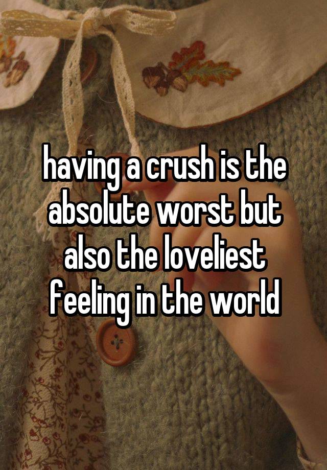 having a crush is the absolute worst but also the loveliest feeling in the world