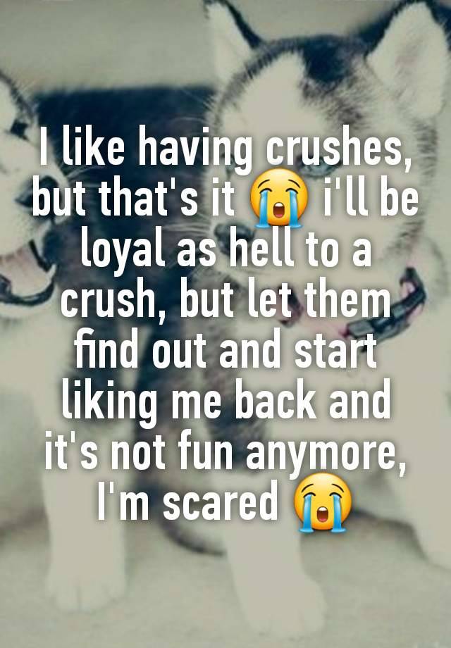 I like having crushes, but that's it 😭 i'll be loyal as hell to a crush, but let them find out and start liking me back and it's not fun anymore, I'm scared 😭