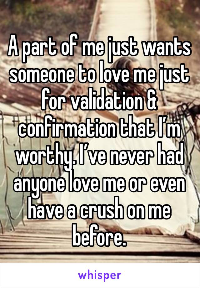 A part of me just wants someone to love me just for validation & confirmation that I’m worthy. I’ve never had anyone love me or even have a crush on me before. 