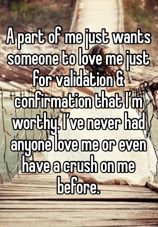 A part of me just wants someone to love me just for validation & confirmation that I’m worthy. I’ve never had anyone love me or even have a crush on me before. 