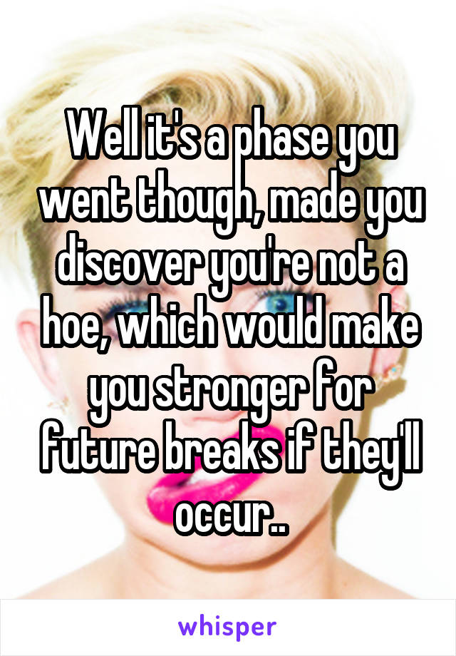 Well it's a phase you went though, made you discover you're not a hoe, which would make you stronger for future breaks if they'll occur..