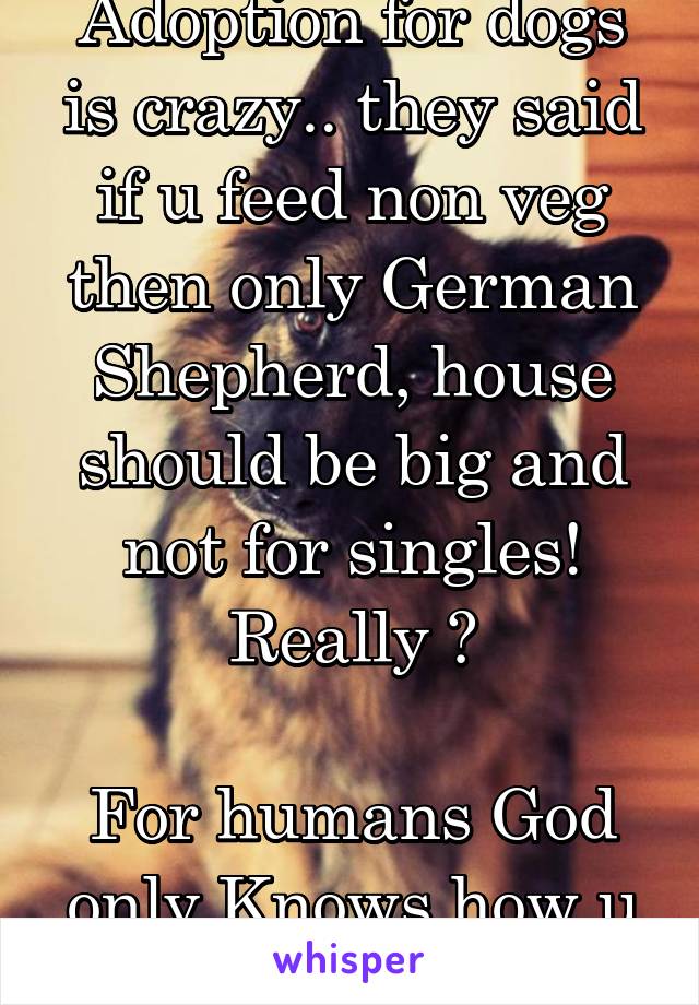 Adoption for dogs is crazy.. they said if u feed non veg then only German Shepherd, house should be big and not for singles! Really ?

For humans God only Knows how u will face 
