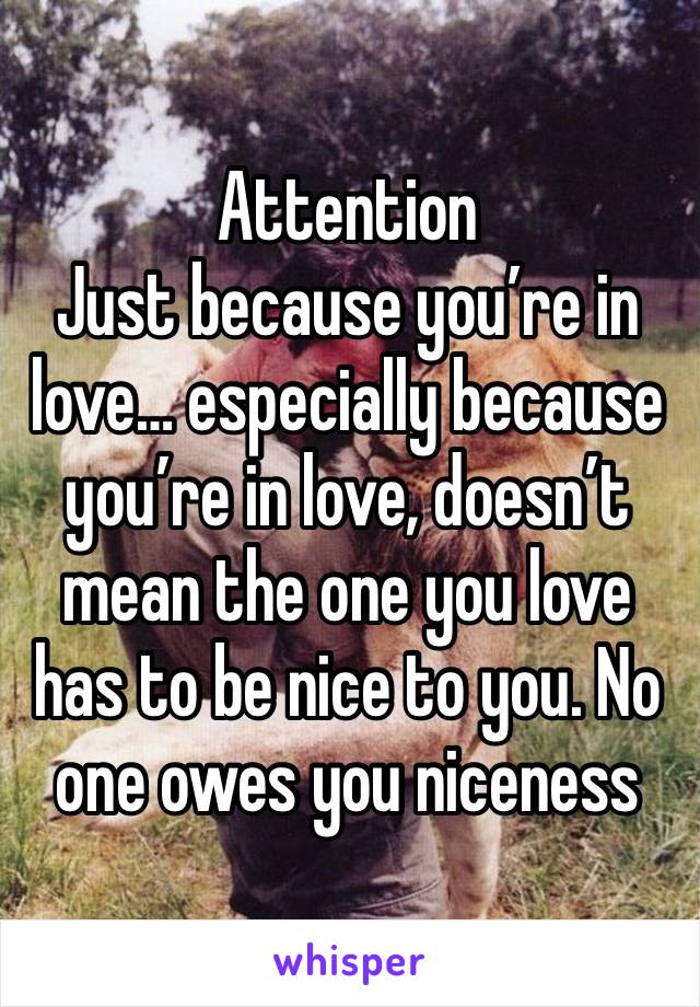 Attention
Just because you’re in love… especially because you’re in love, doesn’t mean the one you love has to be nice to you. No one owes you niceness 