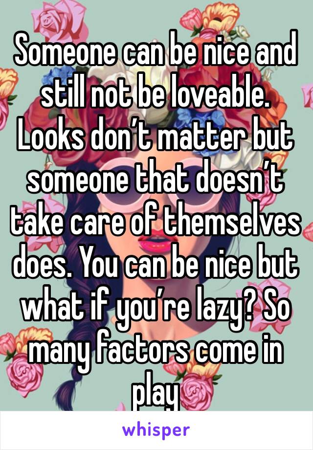 Someone can be nice and still not be loveable. Looks don’t matter but someone that doesn’t take care of themselves does. You can be nice but what if you’re lazy? So many factors come in play 