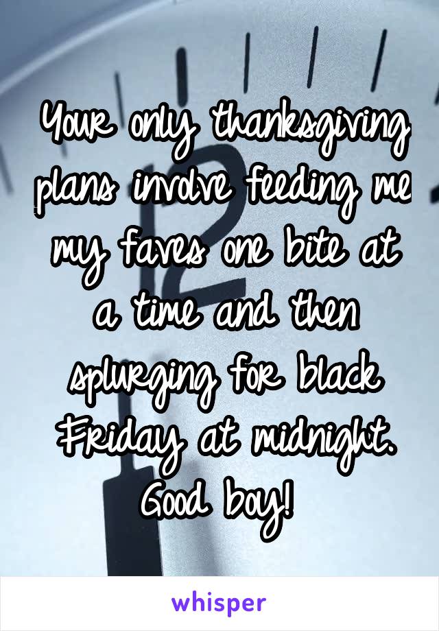 Your only thanksgiving plans involve feeding me my faves one bite at a time and then splurging for black Friday at midnight. Good boy! 