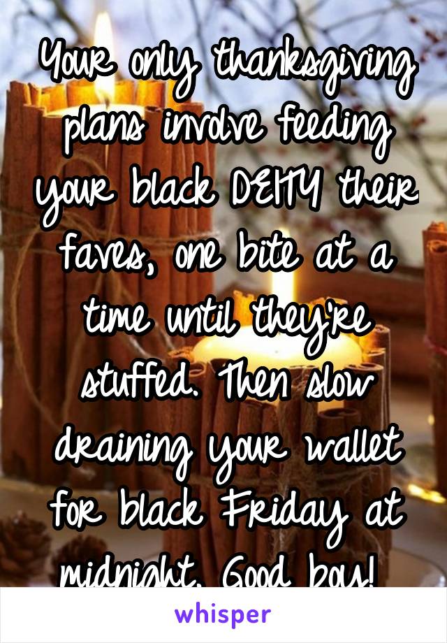 Your only thanksgiving plans involve feeding your black DEITY their faves, one bite at a time until they're stuffed. Then slow draining your wallet for black Friday at midnight. Good boy! 