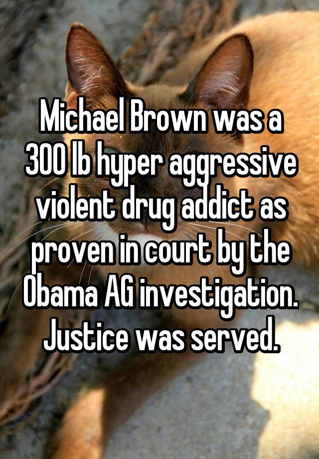 Michael Brown was a 300 lb hyper aggressive violent drug addict as proven in court by the Obama AG investigation.
Justice was served.