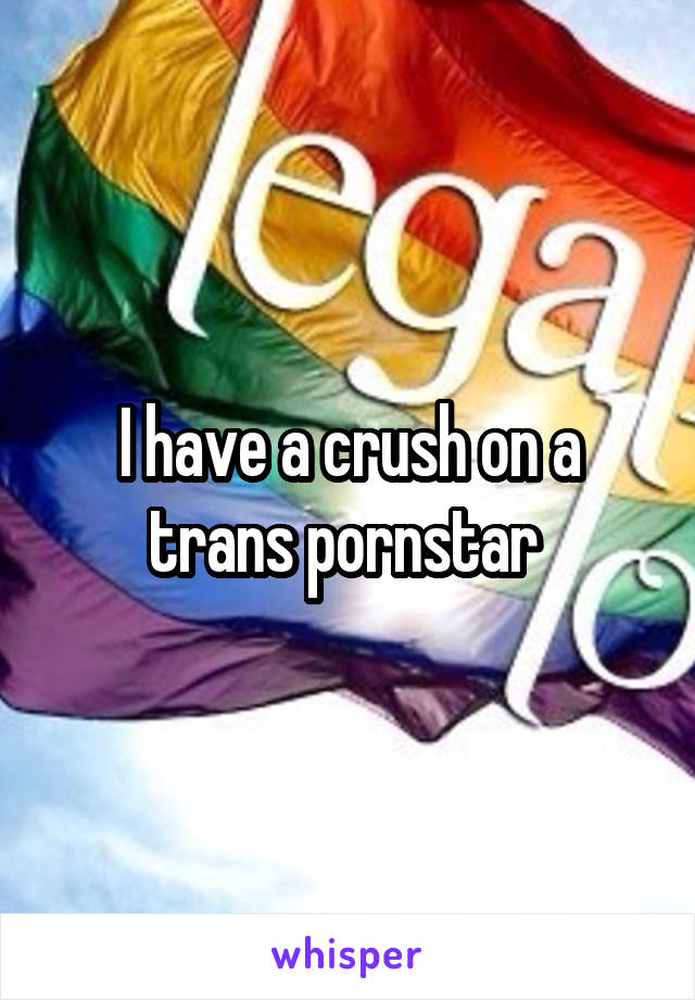 I have a crush on a trans pornstar 