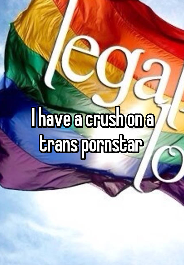 I have a crush on a trans pornstar 