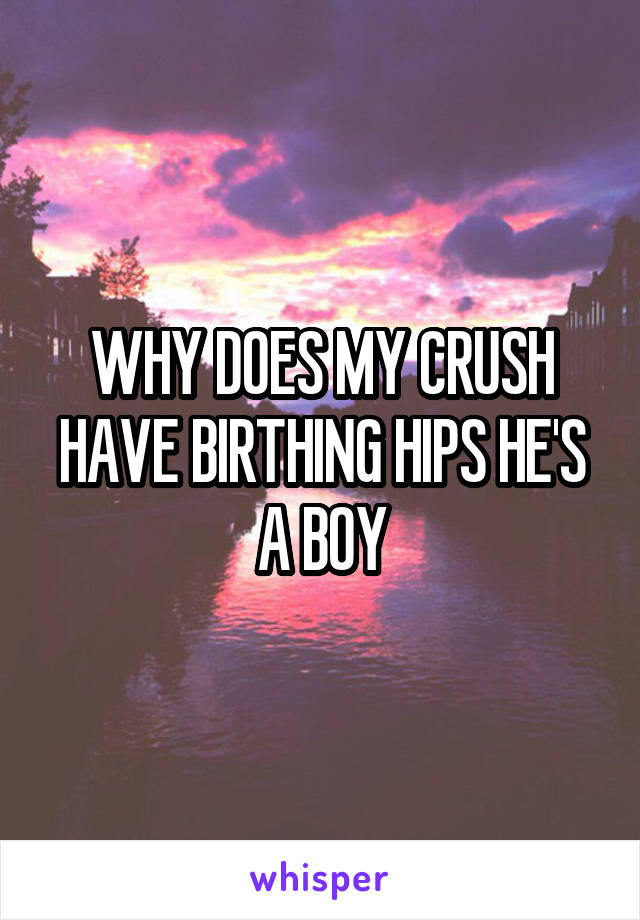 WHY DOES MY CRUSH HAVE BIRTHING HIPS HE'S A BOY