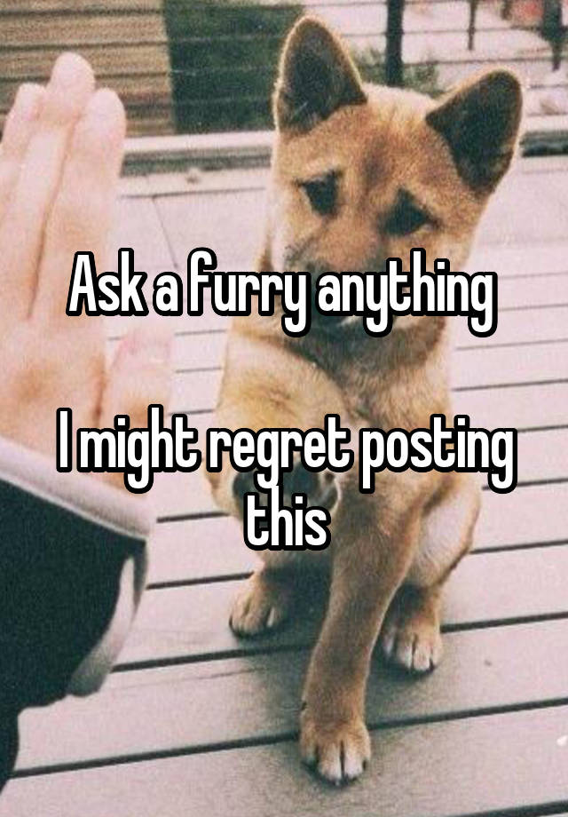 Ask a furry anything 

I might regret posting this