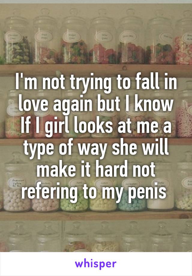 I'm not trying to fall in love again but I know If I girl looks at me a type of way she will make it hard not refering to my penis 