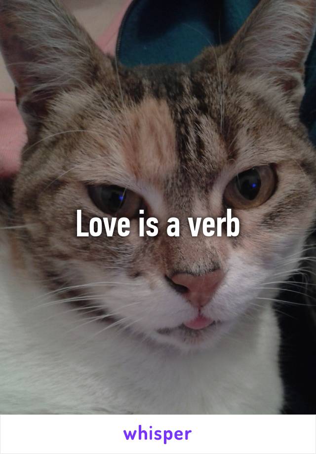 Love is a verb