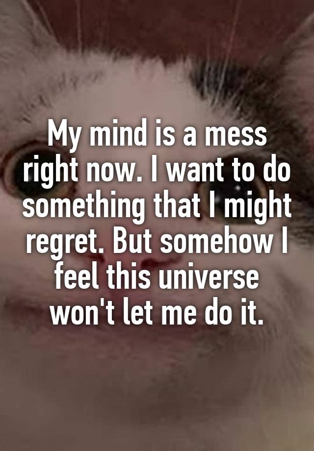 My mind is a mess right now. I want to do something that I might regret. But somehow I feel this universe won't let me do it.