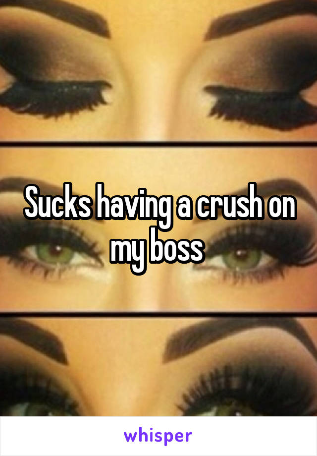 Sucks having a crush on my boss 