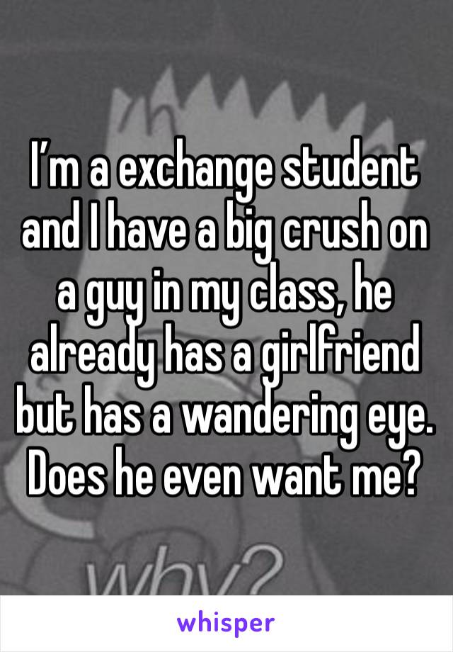 I’m a exchange student and I have a big crush on a guy in my class, he already has a girlfriend but has a wandering eye. 
Does he even want me?