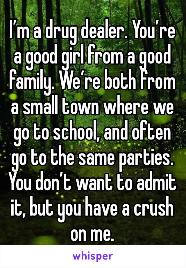 I’m a drug dealer. You’re a good girl from a good family. We’re both from a small town where we go to school, and often go to the same parties. You don’t want to admit it, but you have a crush on me.