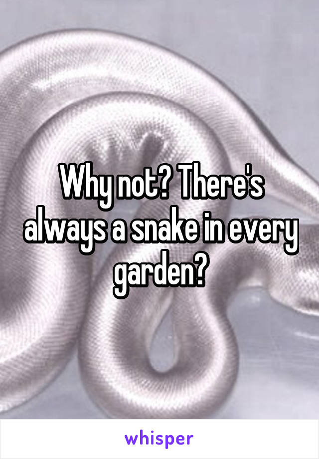 Why not? There's always a snake in every garden?