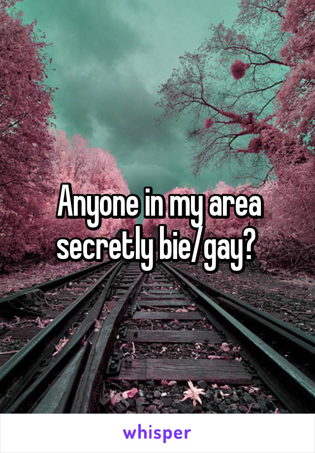 Anyone in my area secretly bie/gay? 