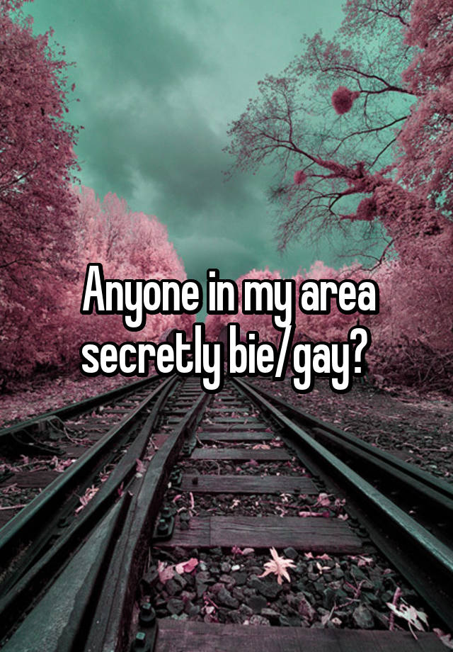 Anyone in my area secretly bie/gay? 