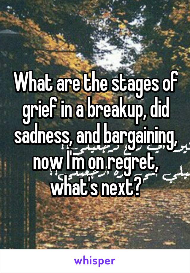 What are the stages of grief in a breakup, did sadness, and bargaining, now I'm on regret, what's next?