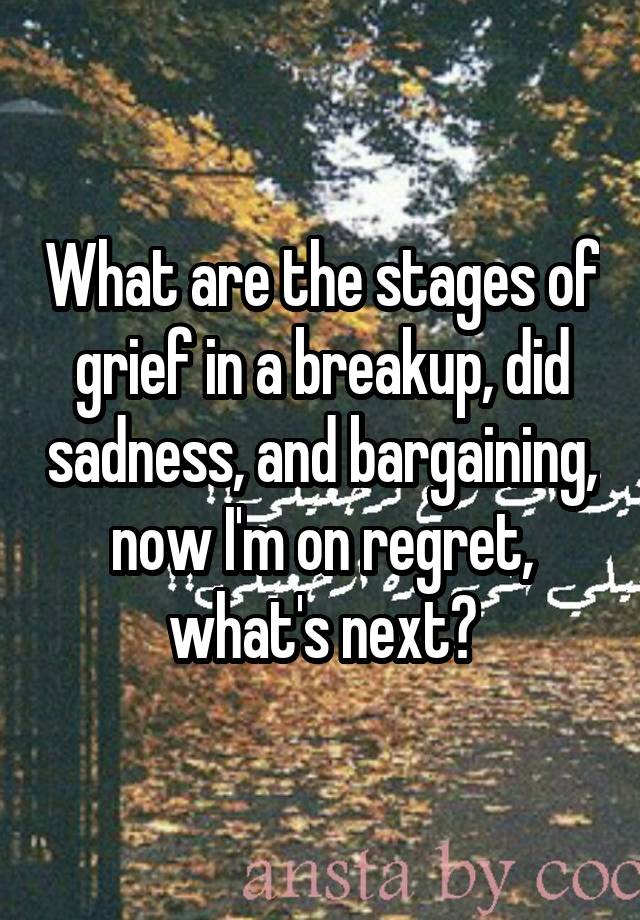 What are the stages of grief in a breakup, did sadness, and bargaining, now I'm on regret, what's next?