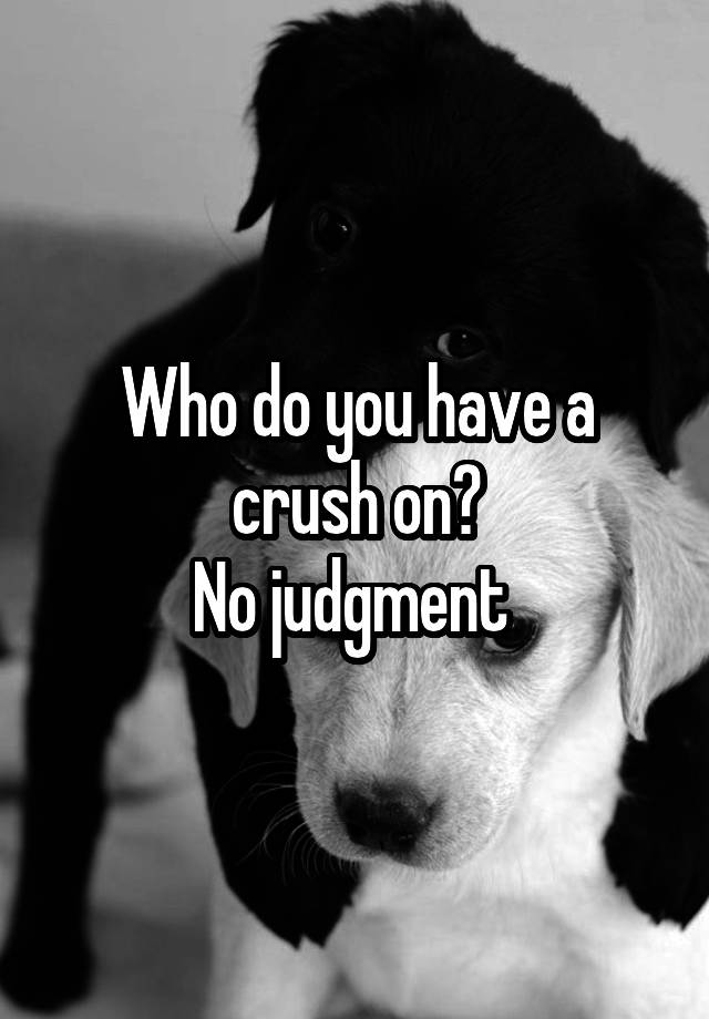 Who do you have a crush on?
No judgment 