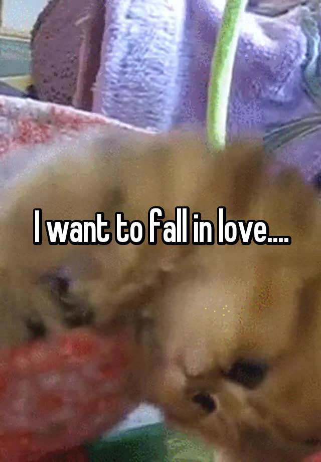 I want to fall in love....