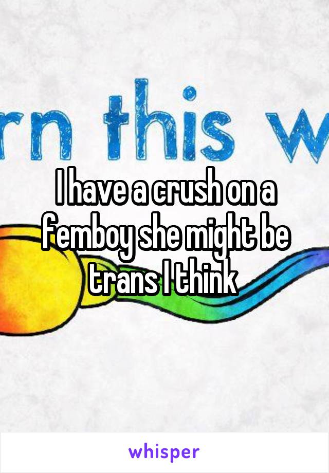 I have a crush on a femboy she might be trans I think 