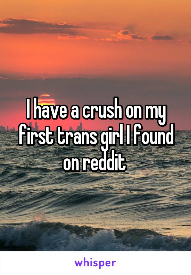 I have a crush on my first trans girl I found on reddit 