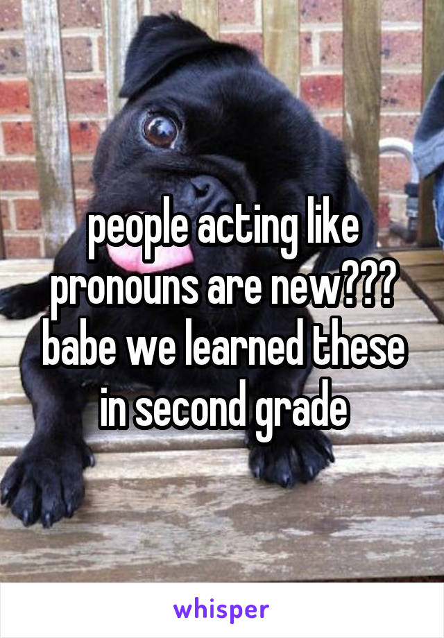 people acting like pronouns are new??? babe we learned these in second grade