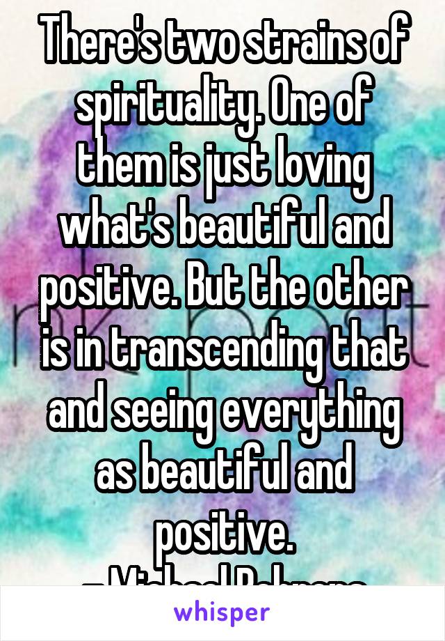 There's two strains of spirituality. One of them is just loving what's beautiful and positive. But the other is in transcending that and seeing everything as beautiful and positive.
- Michael Behrens