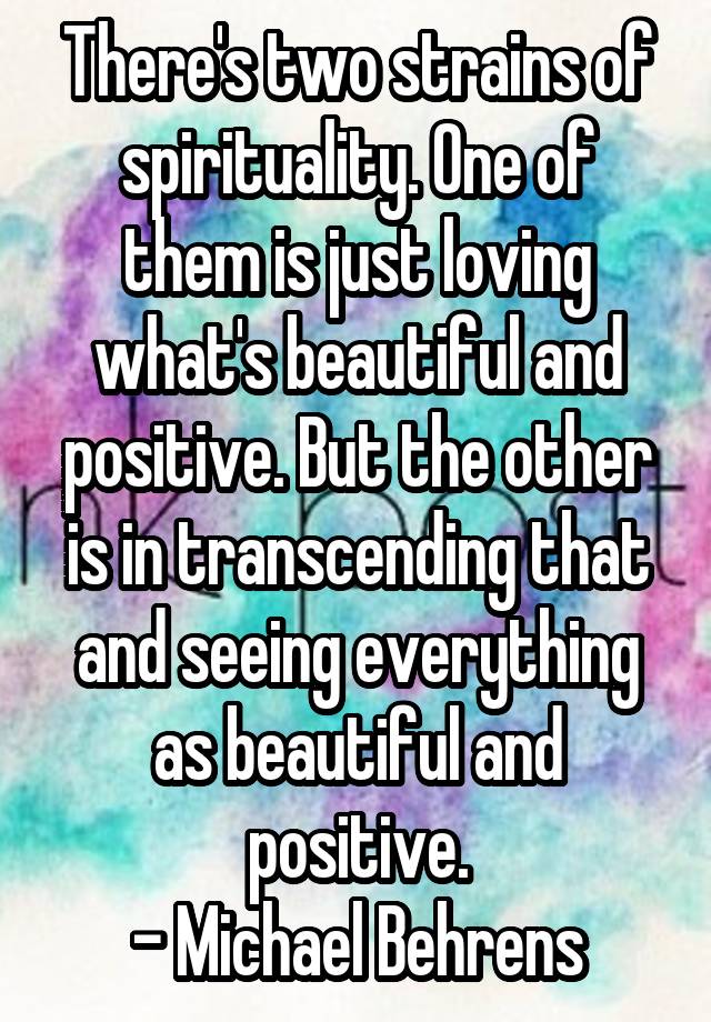 There's two strains of spirituality. One of them is just loving what's beautiful and positive. But the other is in transcending that and seeing everything as beautiful and positive.
- Michael Behrens