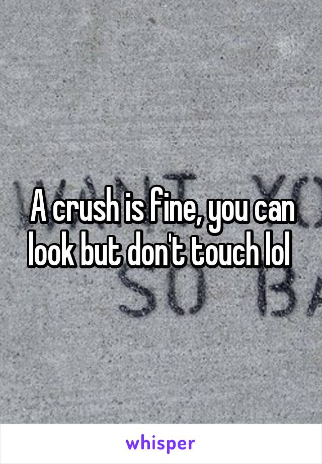 A crush is fine, you can look but don't touch lol 