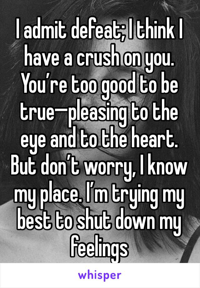 I admit defeat; I think I have a crush on you. You’re too good to be true—pleasing to the eye and to the heart. But don’t worry, I know my place. I’m trying my best to shut down my feelings