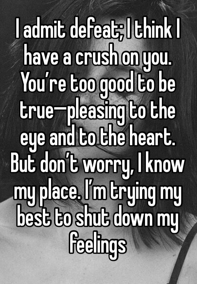 I admit defeat; I think I have a crush on you. You’re too good to be true—pleasing to the eye and to the heart. But don’t worry, I know my place. I’m trying my best to shut down my feelings