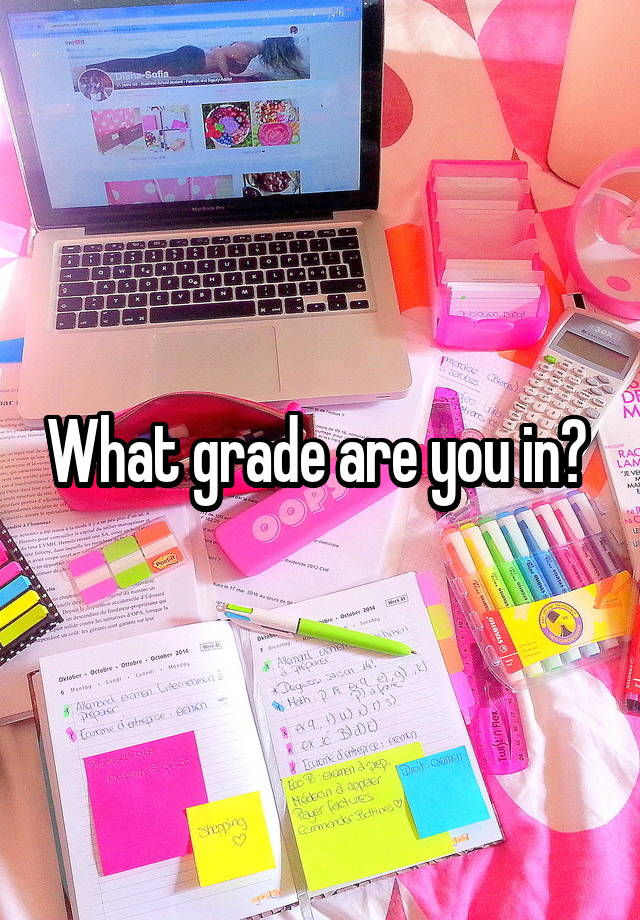 What grade are you in? 