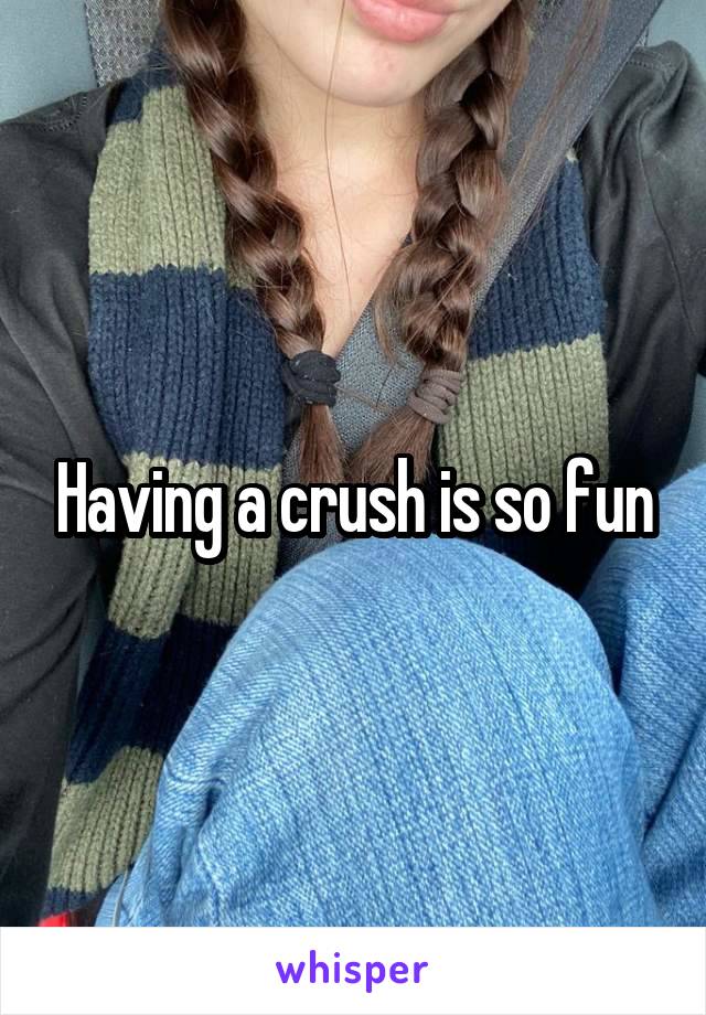 Having a crush is so fun