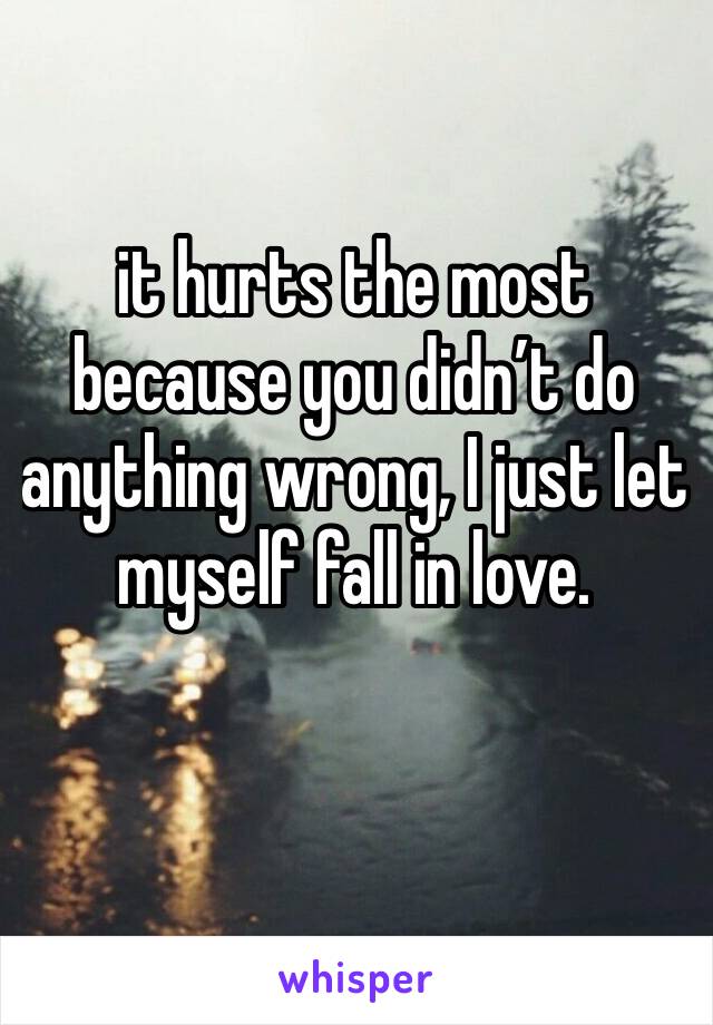 it hurts the most because you didn’t do anything wrong, I just let myself fall in love.